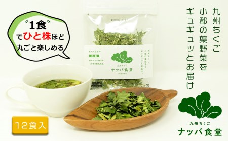 【乾燥野菜】手軽に野菜をプラス 野菜スープセット 12食入 九州ちくご ナッパ食堂　フリーズドライ
