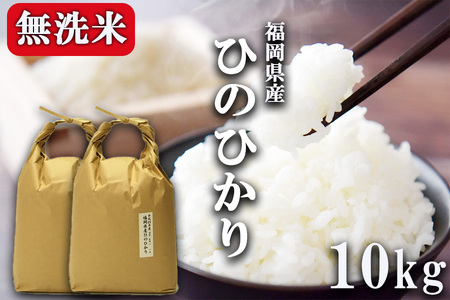 福岡県産 無洗米 ひのひかり 10kg