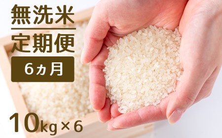 【定期便】1粒からこだわる1等級米 元気つくし 無洗米(10kg×6回）