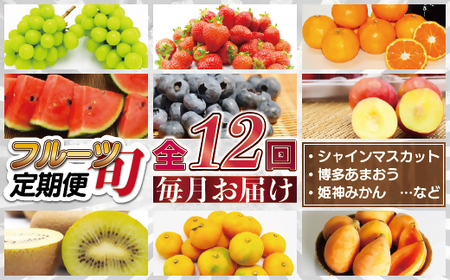 旬のフルーツを毎月お届け！むなかた旬のフルーツ定期便／年12回【JAほたるの里】_HB0139