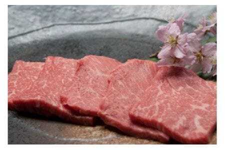 【A5ランク】 博多和牛・もも赤身焼肉用 300g【伊豆丸商店】_HA0202
