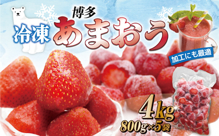 急速冷凍！人気のあまおう 冷凍いちご 大容量4kg【JAほたるの里】_PA1292