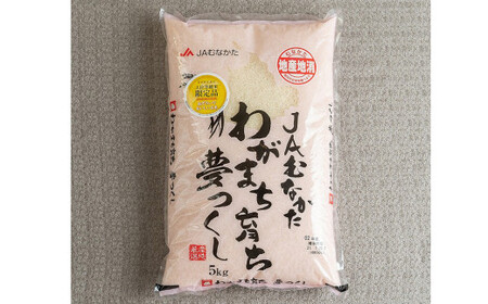 【令和5年産】 福岡の美味しいお米 夢つくし 5kg