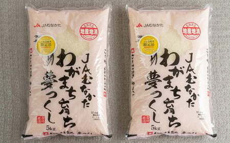 【令和5年産】福岡の美味しいお米 夢つくし 5kg×2袋 合計10kg