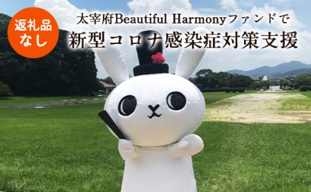 【返礼品なし】Beautiful Harmonyファンド 新型コロナ感染症対策支援