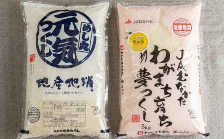 福岡の美味しいお米 ・ 夢つくし ＆ 元気つくし 各5kg 合計10kg 福岡県産 米 精米 白米 国産