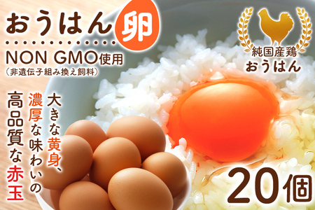 純国産鶏の卵 おうはん卵 20個入り 卵 生卵 たまご タマゴ 玉子 赤玉 青柳たまご 福岡 送料無料