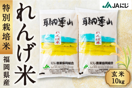 P444-10 JAにじ 特別栽培米「れんげ米」 玄米10kg