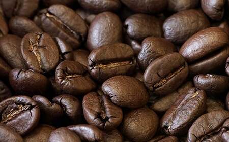 タンザニア AA++ オルディアニセット 挽き 合計600g コーヒー