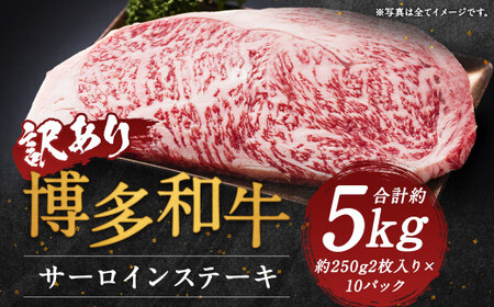 【訳あり】博多和牛サーロインステーキセット 約5kg(約250g2枚入り×10パック)