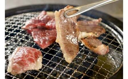 赤崎牛 【 特選 カルビ 】約500g 焼肉用 牛肉