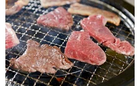 赤崎牛 【赤身 焼肉 カット】約600g 牛肉