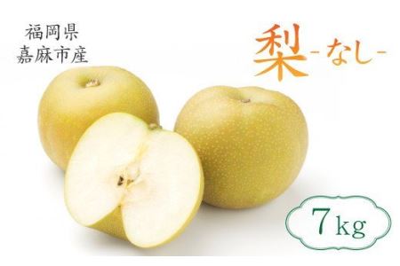 【9月上旬から順次発送】梨 7kg 九州産 二十世紀 豊水 新高 果物