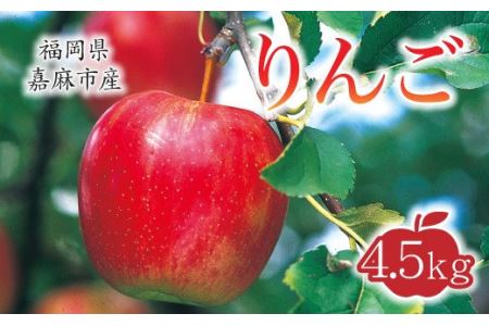 【10月上旬から順次発送】りんご 4.5kg 九州産 陽光 新世界 ふじ