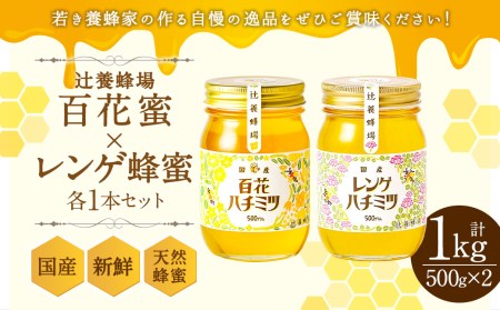 辻養蜂場 百花蜜 レンゲ蜂蜜 500g×各1本 計1kg はちみつ