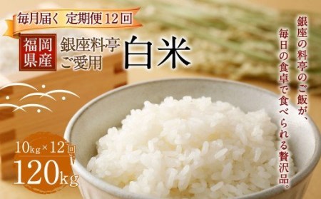 E17　【定期便12回】 福岡県産 白米 10kg ×1袋 銀座の料亭ご愛用のお米