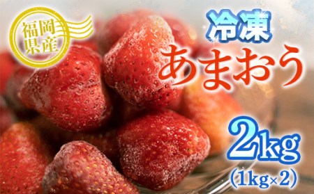 福岡県産 冷凍あまおう 2kg（1kg×2）いちご 苺 あまおう 人気 大人気 福岡 九州 フルーツ ストロベリー 冷凍 TY015