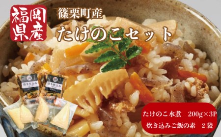 BZ008 篠栗産たけのこ セット たけのこ水煮 炊き込みご飯 タケノコ 筍