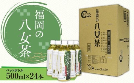 CZ001 福岡の八女茶　煎茶ペットボトル(500ml)×24本
