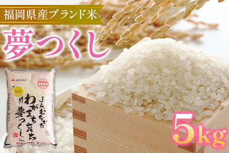福岡の美味しいお米 夢つくし 5kg 令和4年度産 福岡県産 白米 お米 ご飯 ごはん 米 精米 おこめ こめ 送料無料
