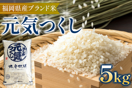福岡の美味しいお米 元気つくし 5kg 令和4年度産 福岡県産 白米 お米 ご飯 ごはん 米 精米 おこめ こめ 送料無料