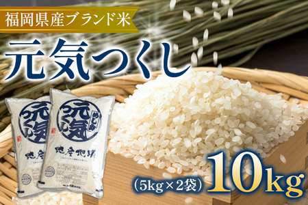 福岡の美味しいお米 元気つくし 10kg 5kg×2袋 令和4年度産 福岡県産 白米 お米 ご飯 ごはん 米 精米 おこめ こめ 送料無料