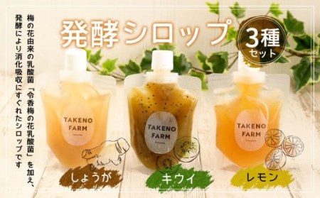 発酵 シロップ 3種 しょうが ・ レモン ・ キウイ (150cc×1パック)