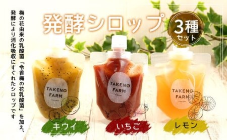 発酵 シロップ 3種 レモン ・ いちご ・ キウイ (150cc×1パック)