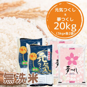 【令和5年産】福岡県産米食べ比べ＜無洗米＞セット「夢つくし」と「元気つくし」2種類　計20kg【1102883】