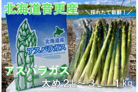 ［先行受付］北海道音更産「川野農園」のグリーンアスパラ1kg（太め2L～3L）【A66】