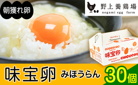 朝獲れ卵 味宝卵 (30個) 卵 Lサイズ 送料無料 鶏卵《90日以内に出荷予定(土日祝除く)》