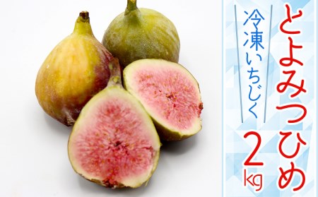 2J8【福岡県産】冷凍とよみつひめ（イチジク）　2ｋｇ（1ｋｇ×2）