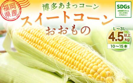 【2024年6月上旬発送開始】福岡県産 SDGs米糠堆肥で作ったメロンより甘い「博多あまっコーン(おおもの)」4.5kg以上
