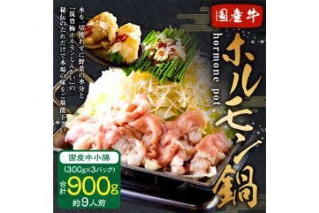 国産牛 小腸 (300g×3セット） ホルモン鍋