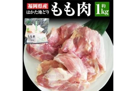 福岡県産 地鶏 「はかた地どり」 もも肉 (約1kg) 鶏肉 もも