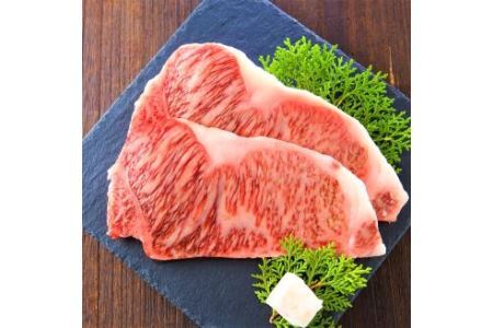 博多和牛 サーロインステーキ セット 500g (250g×2枚) 牛肉 国産 冷凍