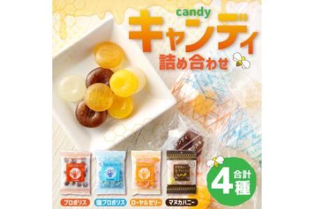 キャンディ 詰め合わせ 4種 飴 お菓子 計：372g