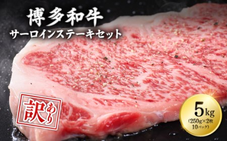 【訳あり】博多和牛サーロインステーキセット　5kg（250ｇ２枚入り×10ｐ） 3C13