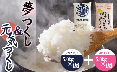 4A27 果物屋さんが選んだ米食べ比べ「夢つくし&元気つくし」5kg×2袋