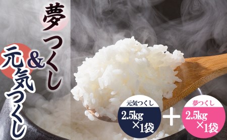4A26 果物屋さんが選んだ米食べ比べ「夢つくし&元気つくし」2.5kg×2袋