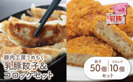 P04-11 乳豚 餃子50個＆コロッケ10個セット 【UMET】 【fukuchi00】