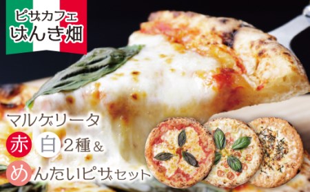P24-16 げんき畑 ピザ 3枚セット＜(赤・白)＆めんたいピザ＞ 【GNKB】 【fukuchi00】