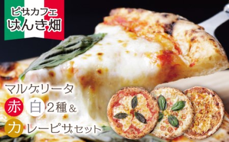 P24-19 げんき畑 ピザ 3枚セット＜(赤・白)＆カレーピザ＞ 【GNKB】 【fukuchi00】