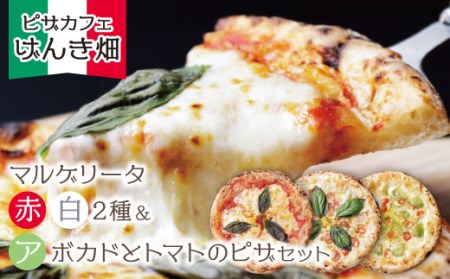P24-20 げんき畑 ピザ 3枚セット＜(赤・白)＆アボカドとトマトのピザ＞ 【GNKB】 【fukuchi00】