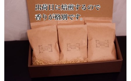 【定期便3回】出荷日焙煎『新鮮珈琲豆(粉に挽いて)』3種 6袋セット
