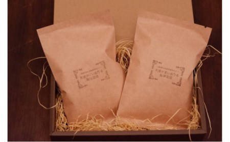 豪華珈琲豆 2種セット ブルーマウンテン100％ ゲイシャ 計2袋 コーヒー
