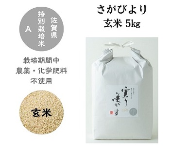 「実り咲かす」農薬・化学肥料不使用 さがびより玄米5kg：B017-033