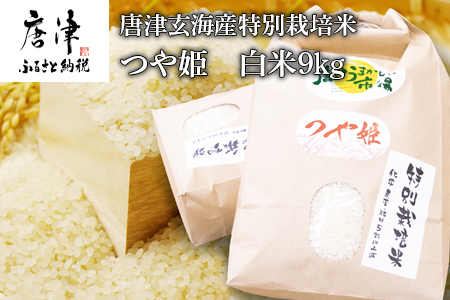 唐津玄海産特別栽培米つや姫 白米9kg 粘りと柔らかさのバランスが良いお米 ギフト ごはん