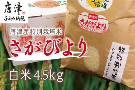 【令和5年産新米】唐津産特別栽培米 さがびより(白米) 4.5kg 白米 ご飯 こめ お米 おにぎり