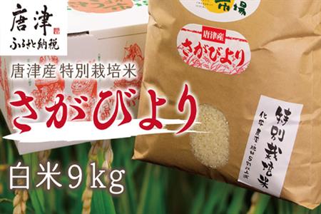 【令和5年産新米】唐津産特別栽培米 さがびより(白米) 9kg コメ お米 ごはん 白米 ご飯 こめ お米 おにぎり